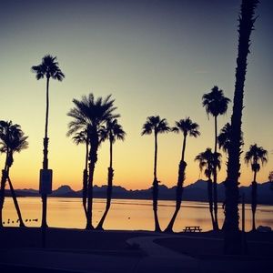 Meet your Posher, Katrina